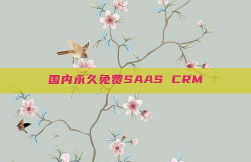 国内永久免费SAAS CRM